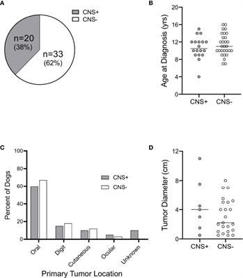 Prevalence and Clinicopathologic Features of Canine Metastatic Melanoma Involving the Central Nervous System: A Retrospective Analysis and Comparative Review